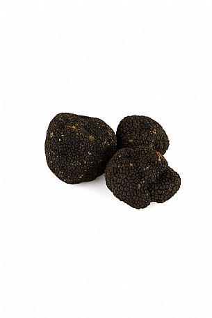 Black Truffle Still Life