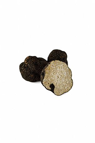 Black Truffle Still Life