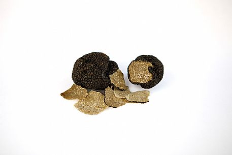 Black Truffle Still Life