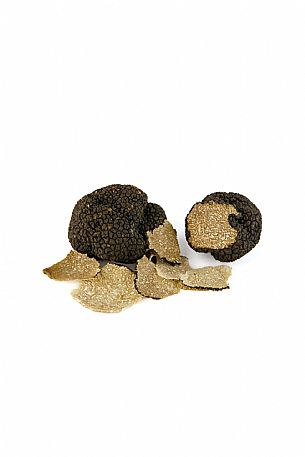 Black Truffle Still Life