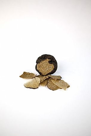 Black Truffle Still Life