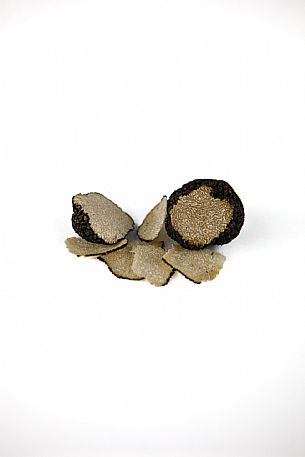 Black Truffle Still Life