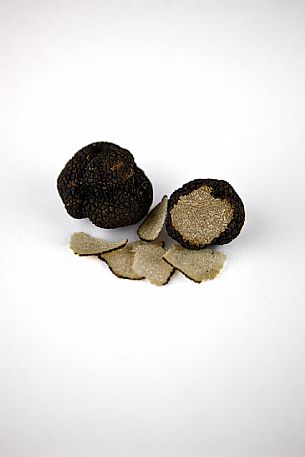 Black Truffle Still Life