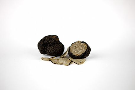 Black Truffle Still Life