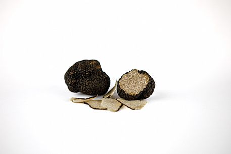 Black Truffle Still Life