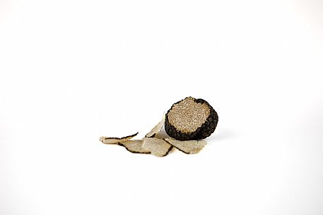 Black Truffle Still Life