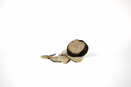 Black Truffle Still Life