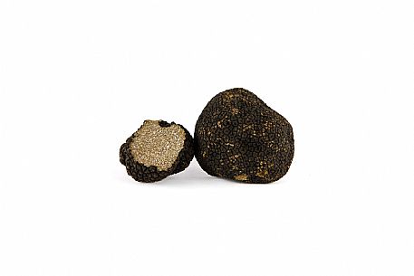 Black Truffle Still Life