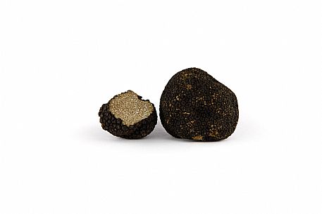 Black Truffle Still Life