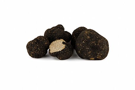 Black Truffle Still Life