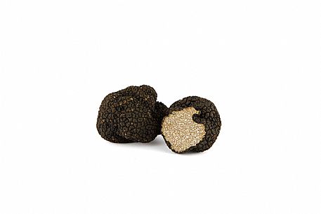 Black Truffle Still Life