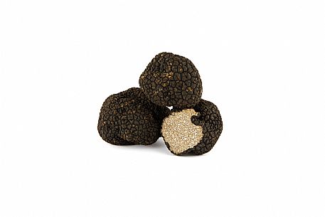 Black Truffle Still Life