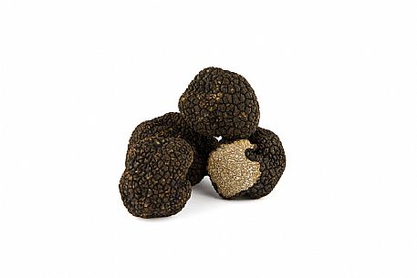 Black Truffle Still Life