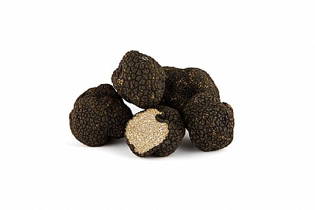 Black Truffle Still Life