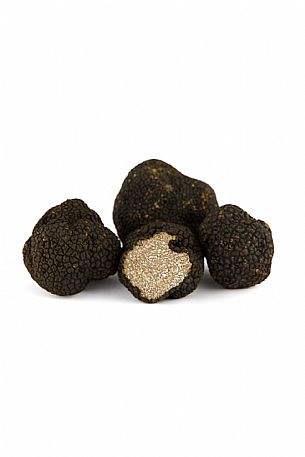 Black Truffle Still Life