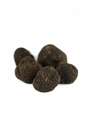 Black Truffle Still Life