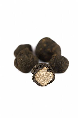 Black Truffle Still Life