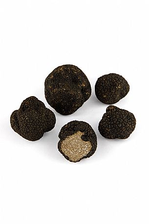 Black Truffle Still Life