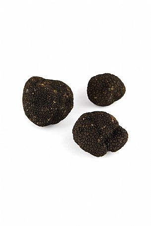 Black Truffle Still Life