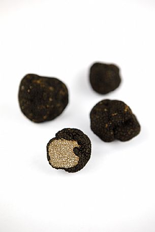 Black Truffle Still Life