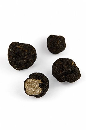 Black Truffle Still Life