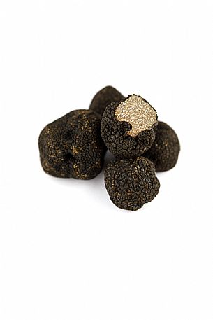 Black Truffle Still Life