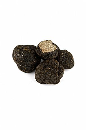 Black Truffle Still Life