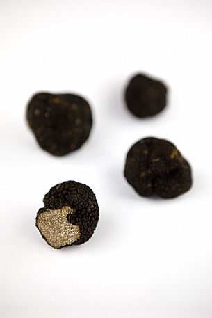 Black Truffle Still Life