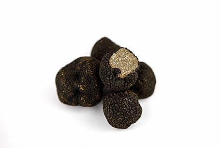 Black Truffle Still Life