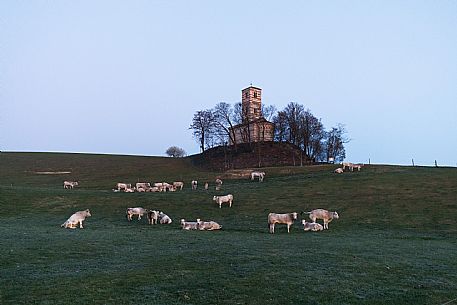 Santi Nazario e Celso Church - Montechiaro d'Asti