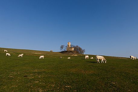 Santi Nazario e Celso Church - Montechiaro d'Asti