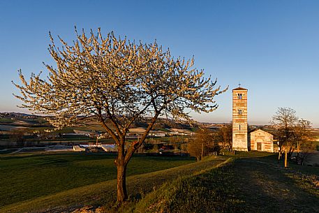 Santi Nazario e Celso Church - Montechiaro d'Asti