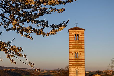 Santi Nazario e Celso Church - Montechiaro d'Asti