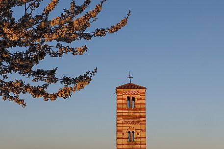 Santi Nazario e Celso Church - Montechiaro d'Asti