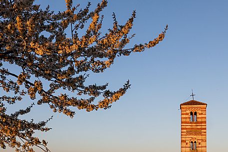 Santi Nazario e Celso Church - Montechiaro d'Asti