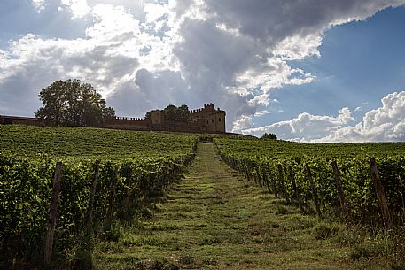 Montemagno Monferrato view