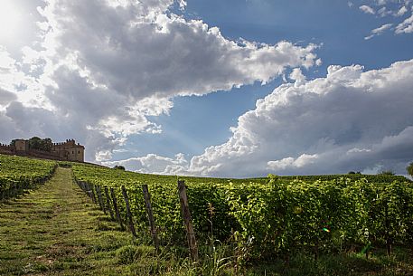 Montemagno Monferrato view