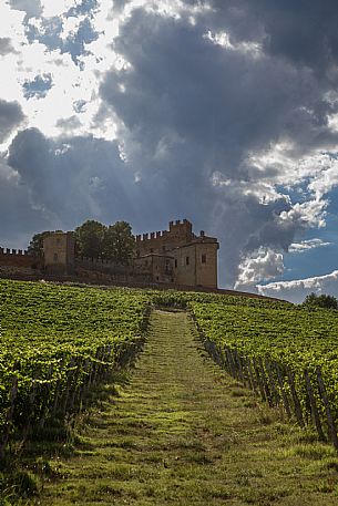 Montemagno Monferrato view