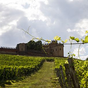 Montemagno Monferrato view