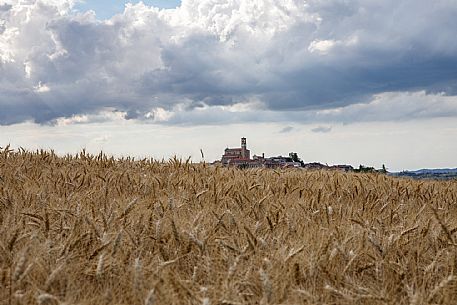 Grana Monferrato View