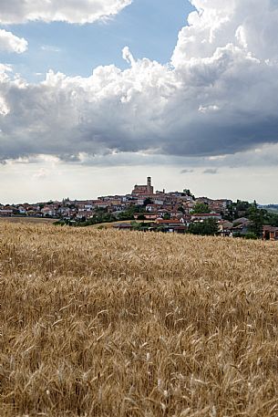 Grana Monferrato View