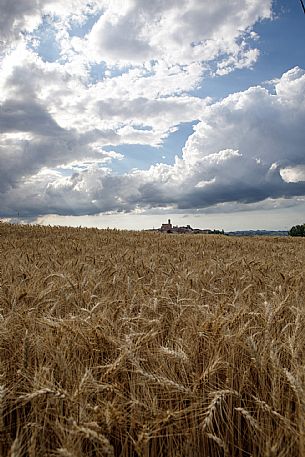 Grana Monferrato View