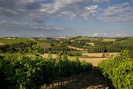 Montemagno Monferrato 