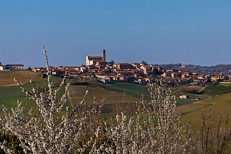 Grana Monferrato View