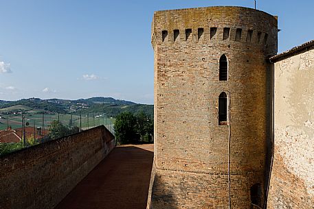 Tambass (wall tambourine) field - Moncalvo