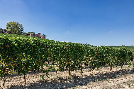 Montemagno Monferrato view