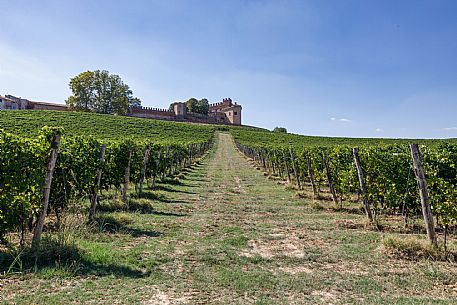 Montemagno Monferrato view