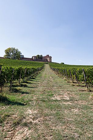 Montemagno Monferrato view