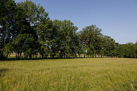 Monferrato Truffle Grounds