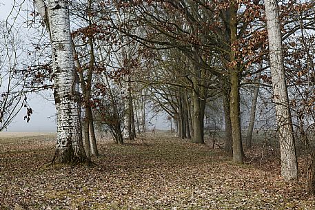 Monferrato Truffle Grounds